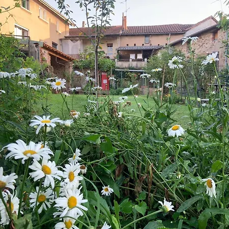 Ecododo Maison Clotilde *